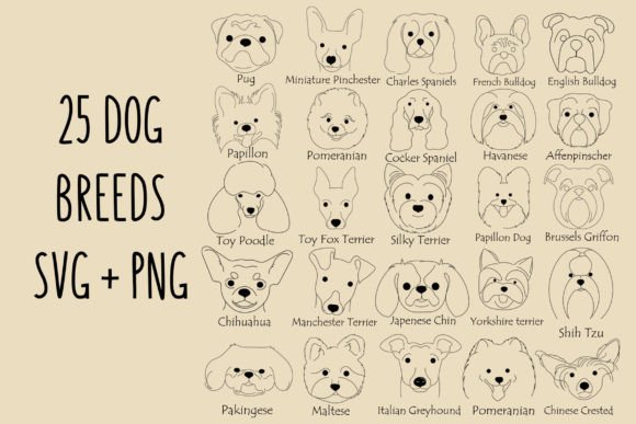 Dog Breed Svg & Dog Face: Graphics for Crafts